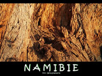 Namibie 2010