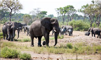 Namibie - Botswana